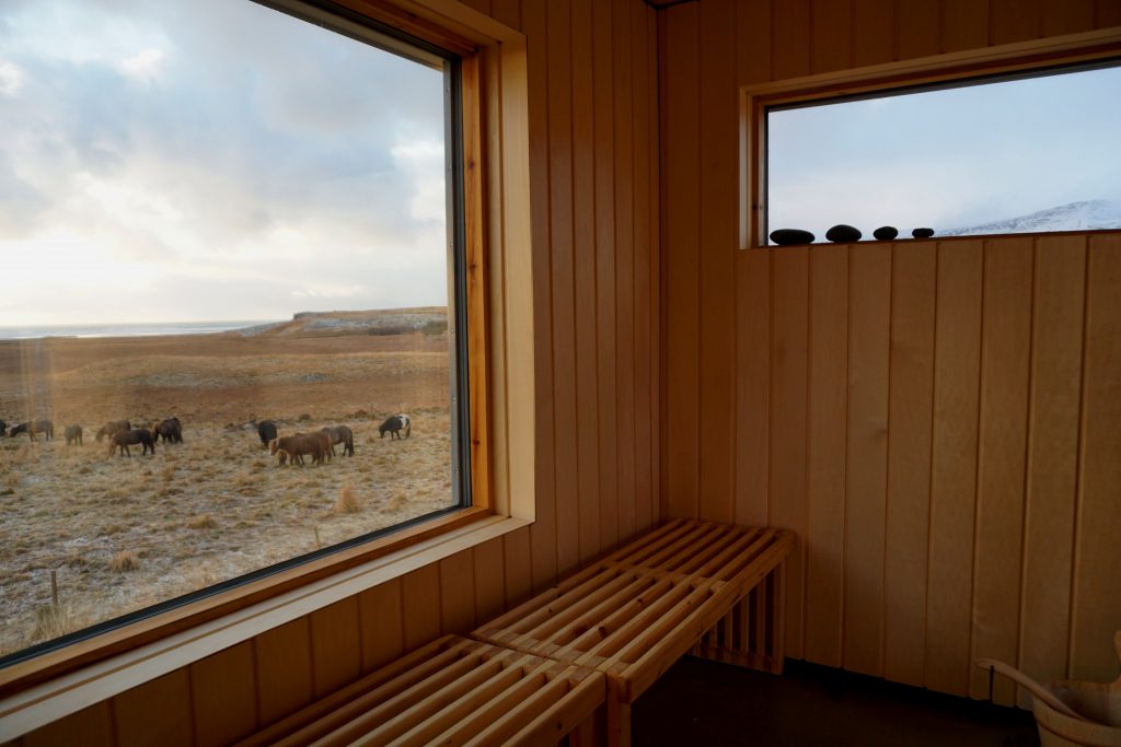 sauna