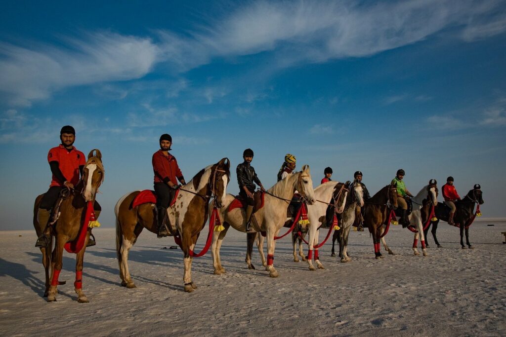 horse-safari (1)