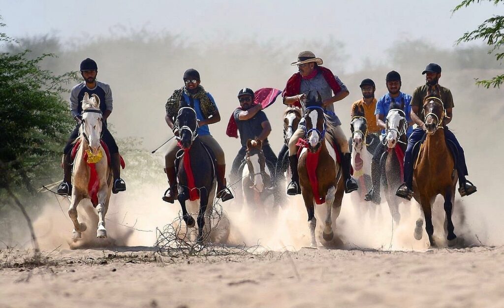 horse-safari