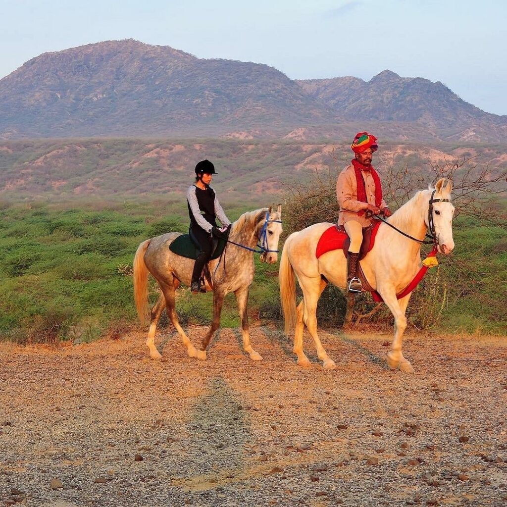 horse-safari (2)