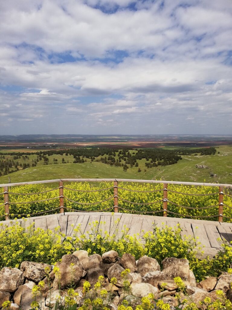 gobekli-tepe