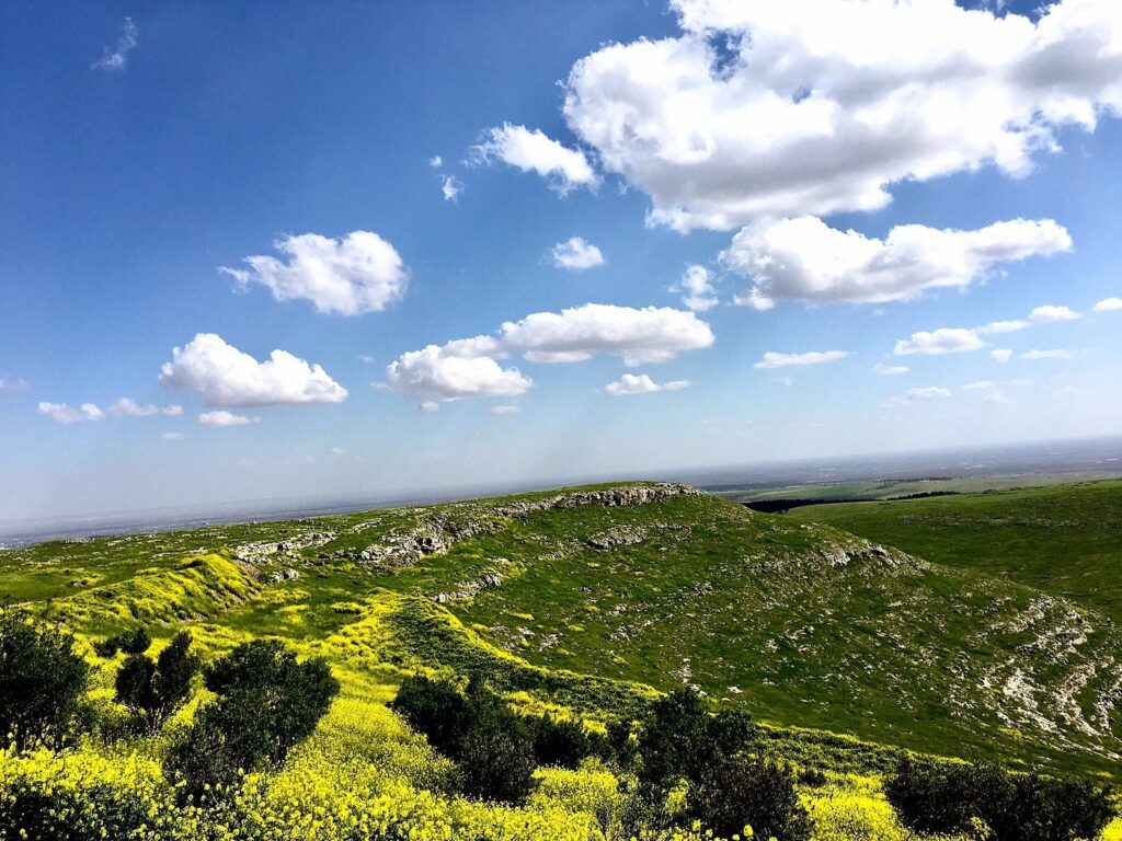 gobeklitepe (1)