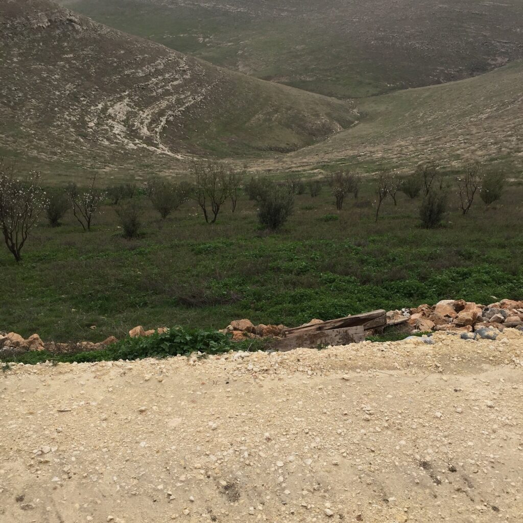 gobeklitepe-ilk-insanlarin