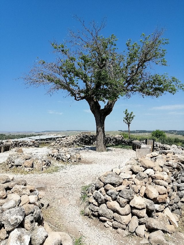 img-20190512-095802-largejpg
