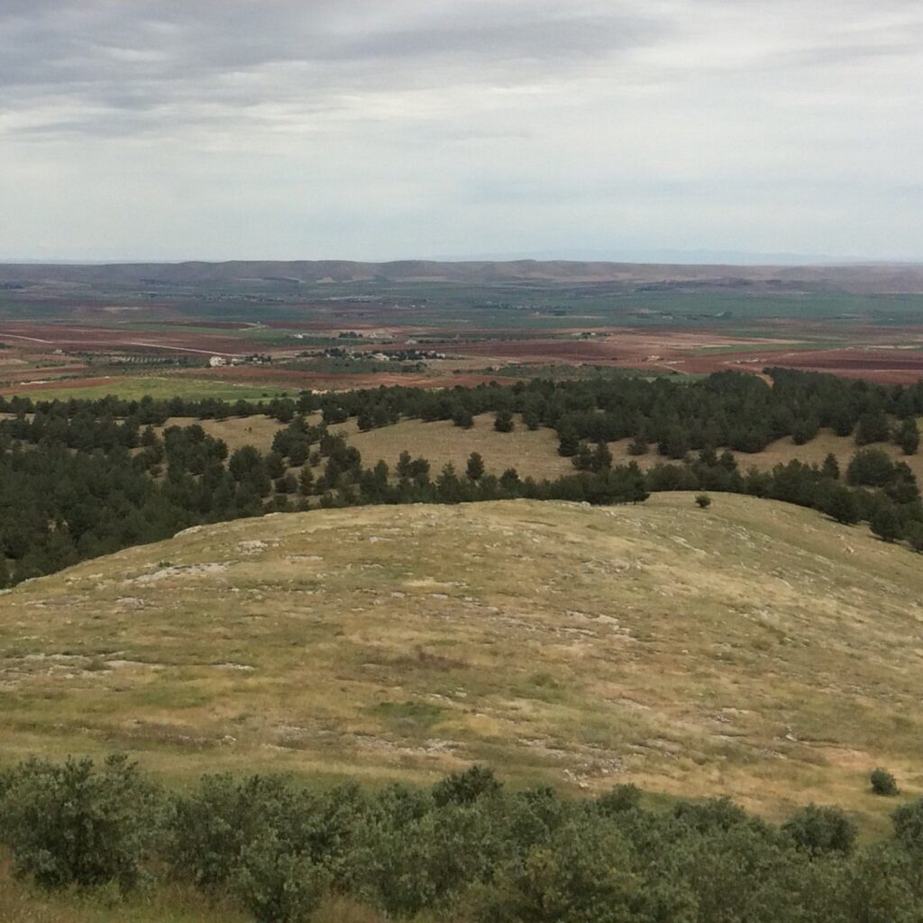 photo1jpg (1)